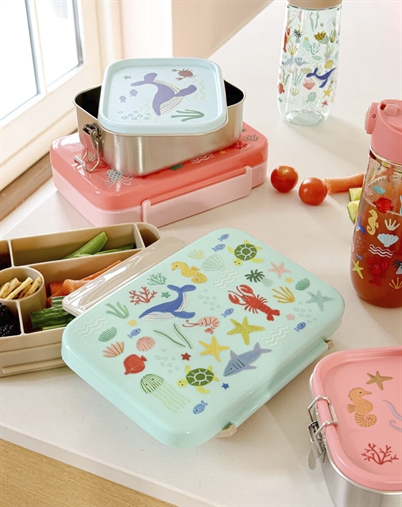 Plastic Lunchbox with 6 Rooms